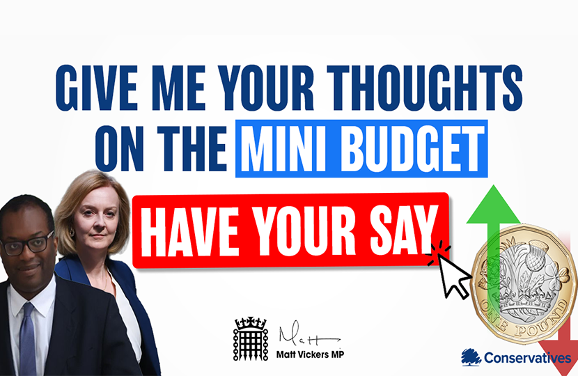 The Mini-budget survey