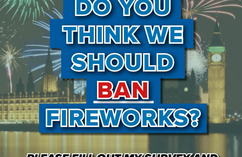 Should we ban fireworks